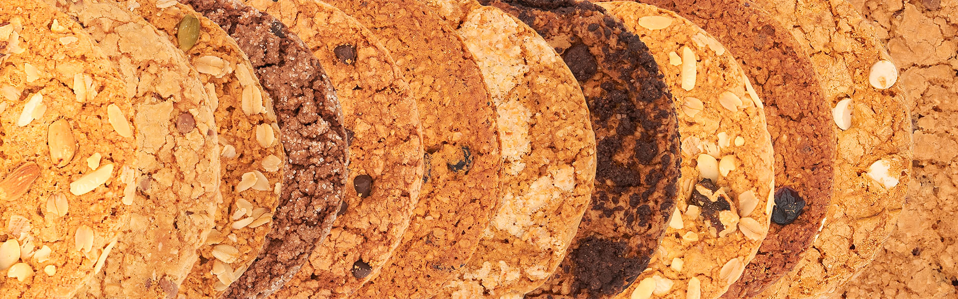 Galletas-de-Avena-zocalo-1920x600px